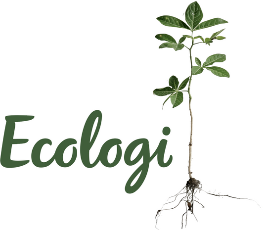 Ecologi Tree Planting Initiative